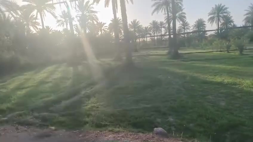 🌾✨#للبيع: أرض زراعية ساحرة في قلب كربلاء🌾
🟢 تفاصيل العرض:
📏 المساحة:  دونمين: للبيع 
📜 نوع الملكية: طابو زراعي (سند 25)
🔄 تحويل الملكية إلى اسم المشتري
📍 📍 الموقع: كربلاء، طويريج، مقابيل مليبيج 

طريق، الزوار ، يربط، كربلاءالمقدسة، حله، 
🌟 الاستخدامات المثالية
🏡 سكن مريح
💼 استثمار مربح
🌳 مزرعة خاصة 
🌿 مزرعة ترفيهية 
🌼 مكان للاستراحة والهدوء
ايضا يتوفر لدينا عقارات اخرى في مختلف مناطق، كربلاء المقدسة وايضا في طريق، كربلاء، نجف،و منطقة، شط الله، 
و منطقة العيوج، ومنطقه ام جمل، 
 وقرب ، بنت الحسن(ع)
📞 📞 للاستفسار اكثر الاتصال على 
📱 ***********☎️ابو غانم: واتساب 
@ ***********☎️ابو غانم: واتساب
