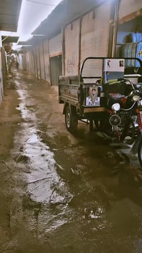 ستوته • موديل 23 • رقم نكليزي