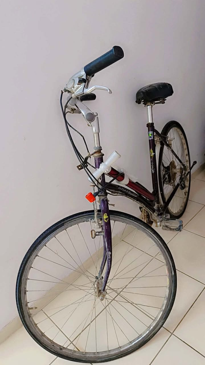 بايسكل اي خلل ما بي  حجم كبير  
ب ٦٠ الف وبي مجال 
للاستفسار مراسله خاص


**إذا كنت صاحب هذا الإعلان وتريد حذفه لأي سبب، رجاءا أرسل رسالة إلى الدعم الفني**