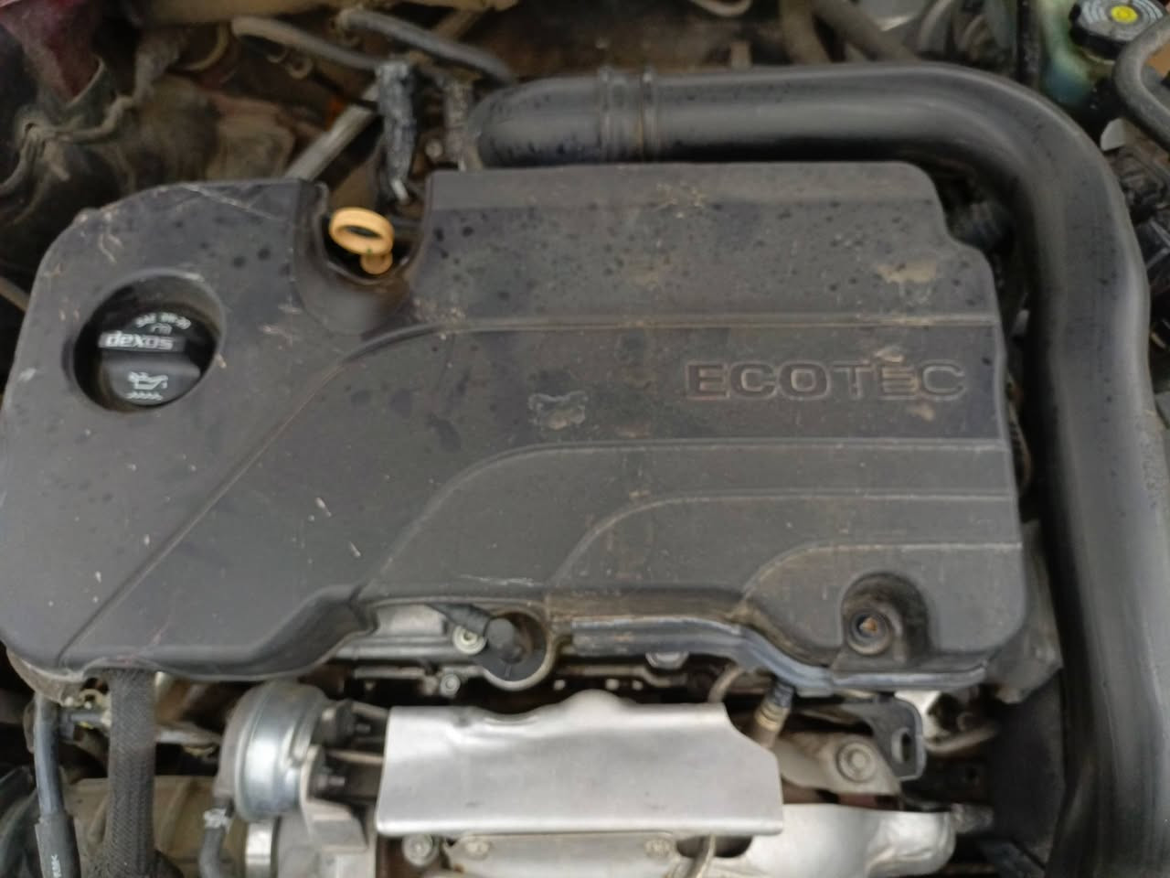 السلام عليكم ورحمه الله ،،،
ماليبو 2018 رقم دهوك مسطرة انكليزي 
السيارة بيها قطعتين تبديل ويمكن قطعتين صبغ
ما مسجل على الكوبون ،،، محرك وكير شرط 
السعر ، 95 وبيها مجال الطيبين
العنوان/موصل حي التأميم 
تلفون ،،،***********
سيارة حلوه مال بيت وجاهزة
