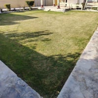 مكينة قص • حدايق • ترتيب وزرع