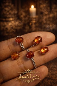 كهرب روسي • تراجي مع محبس • طلاء ثابت ضمان