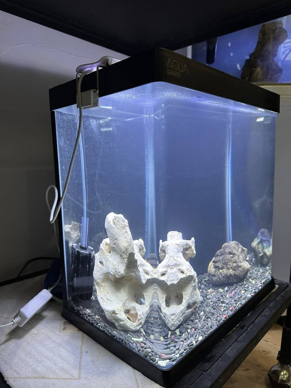 نرخی بۆتە  55 هەزار
حەوزی شەریكەی ئەكوای پێش قەوس . بەكارهاتوو 
لیدێكی گیای ستاندنی شین و سپی لەگەڵە
جیهازی ئۆكسجینی لەگەڵەو فلتەری ئیسفنجی لێ بەستراوە تاوەكو ئاوەكە بپاڵێوێت
 بنی حەوزەكە بە بەردی هاڕاوی ڕەش ٢ بەردی گەورەی  لەگەڵە وەك دیزاین
حەوزەكە بەشی بن و سەقفی پلاستیكی بۆ كراوە تاوەكو لە شكان بیپارێزیت
پشتی باگراوندی ڕەشی لێدراوە
قیاسی درێژی ٤٠ سم بەرزی ٤٠ سم پانی 25 سم
___________________
ئەوەی ویستی نامە بنێرێت 
گەیاندنمان تەنھا بۆ ناو سلێمانی ھەیە


**إذا كنت صاحب هذا الإعلان وتريد حذفه لأي سبب، رجاءا أرسل رسالة إلى الدعم الفني**