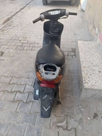 عصفورية • سلف وهندر شغال • الشعله