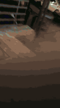 اعمال كادرنا مستعدون لتنفيذ كافة اعمال التأسيسات الكهربائيه وعمل البوردات وجميع المنظومات ***********
