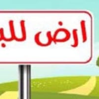 حي الجزيرة • ٣٠٠م • سند طابو