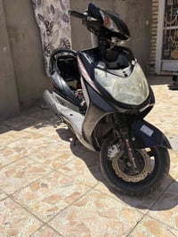 سكنس فحل • كفاله عامه • ختم واحد