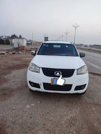 كريت ويل • ٢٠١٢ • مصبوغة وضربة