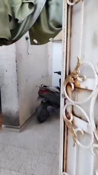 طابو صرف • ١٢٠م • غرفة ومطبخ