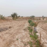 كاع ال زيرج • ٦ دونم • بيت حديث