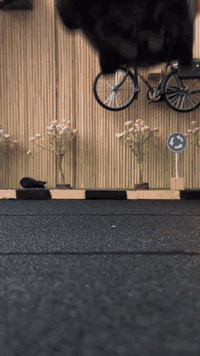 سيارة لكزس حديد حجم كبير مع إضاءة
سعر قطعة 30.000

سعر قطعتين 50.000
مراسلة عن طريق واتساب ***********

متوفر بلون أسود والابيض

الاستخدامات

لعبة ممتعة للأطفال ومحبي السيارات

قطعة عرض لهواة مجسمات السيارات

هدية مميزة في المناسبات والأعياد

تنمية الخيال وحب السيارات عند الأطفال

المميزات

هيكل مصنوع من المعدن (حديد) مع تفاصيل دقيقة

حجم كبير وتصميم واقعي مشابه لسيارة لكزس الأصلية

إضاءة أمامية وخلفية تعمل عند التشغيل

مؤثرات صوتية داخل السيارة تزيد من المتعة

الأبواب الأمامية والخلفية تفتح وتغلق

الكبوت الأمامي والشنطة الخلفية قابلة للفتح

عجلات متحركة بسلاسة

تشطيب فاخر مع مقصورة داخلية بتفاصيل واضحة

ابعاد السيارة: الطول 20 سم  العرض 8 سم ارتفاع 7 سم

محتويات الصندوق

سيارة لكزس حديد حجم كبير

الملاحظات

المنتج لعبة ومجسم وليس سيارة حقيقية

يُنصح بإبعادها عن الأطفال دون 3 سنوات
