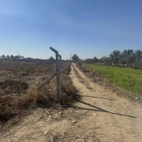 خلف جامعة بابل • طابو زرعي • ٢٠٠م