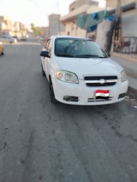 اڤيو كوري • ٢٠٠٧ • بدون صبغ