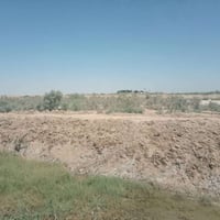 النجف • ٥٠دونم • عقد بسمي