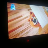 شاشة • شخطتين • تبديل ام نت