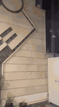 يونيفيكا • ٢٧.٥ • شيمانو