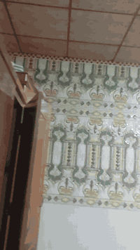 سلام عليكم بيت بشارع المطار شارع مبلط الرقم***********متكون من مطبخ حراري ومطبخ بارد وغرفيتن وبراني حجم كبير وحمامين السعر بلخاص البيت كامل المساحه 200متر
