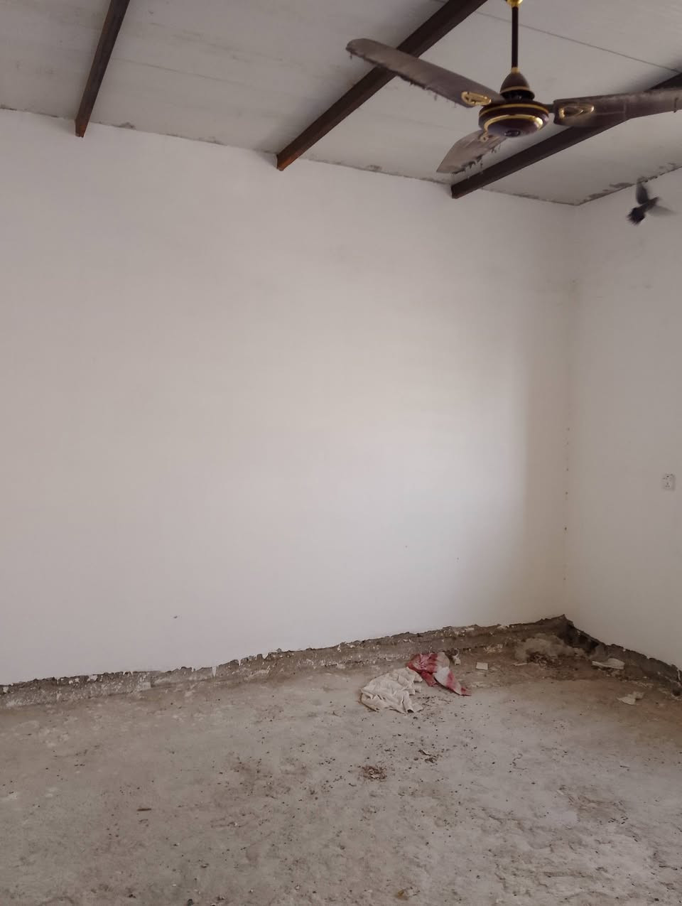 سلام عليكم بيت للبيع 100م طابو زراعي سند ٢٥
يحتوي البيت عله 3 غرف  نوم أو  استقبال أو حمام أو صحيات خارجيه كما موضح في الفيديو كامل مكمل مجاري مي كهرباء تبليط كلهن واصلات الباب البيت
العنوان الراشديه حي الانتصار بل صفحه ثانيه مال زراعي من جه بدران.                     ***********
