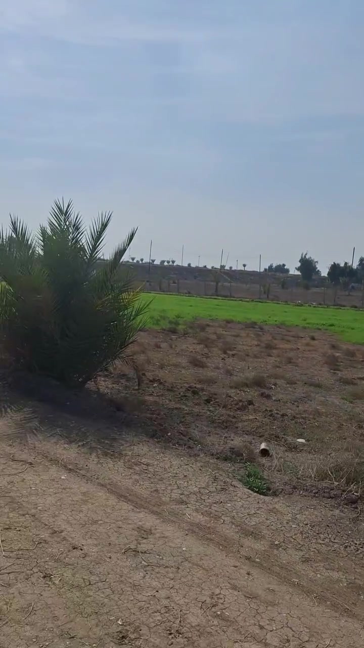 السلام عليكم
دونم طابو سند ٢٥ ركن 
ابو غريب الشيحة 
كافة الخدمات 
السعر ١٢٥ 
***********
