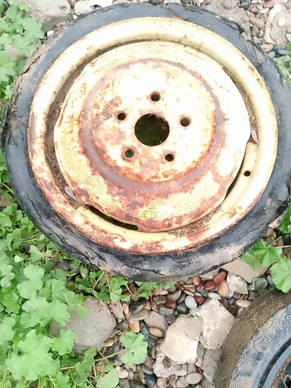 عندي ويلين حجم 15 نضاف بيه ضربه شويه كما موضح ب صوره وتواير نضاف وعندي ويلين نوب ماعرفهن مال شنو  اتصل وتدلل  ***********
