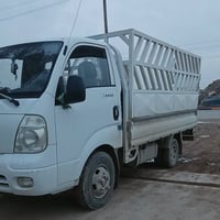 للبيع فحل كيا موديل 2010  سعر خاص  رقم تلفون07518605164