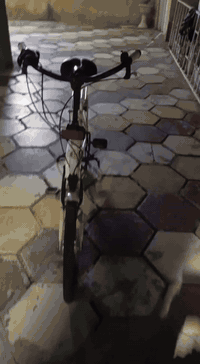 بايسكل للبيع
السعر على خاص 
***********
