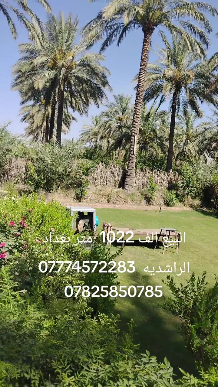 ***********،، ***********
