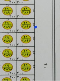 مجمع الراشد الصقلاوية • ٣٠٠م • قطعة ٣٨٩١