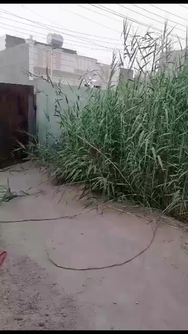 السلام عليكم.....
مكلفه بالنشر...........
بيت للايجار اجاره 50الف يرادله ترتيب لمده 5اشهر وره ماموجر يرتبه يصير اجاره 100الف عنوان الزيتون قرب محطة


**إذا كنت صاحب هذا الإعلان وتريد حذفه لأي سبب، رجاءا أرسل رسالة إلى الدعم الفني**