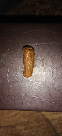 عرگ سلطاني • قديم • قطعة نادرة