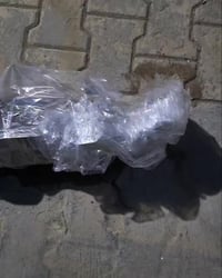 دايو برنس • براكيت خلفي • تكريت