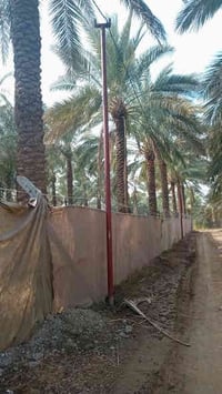 دونم ركن على شارعين مدخلين الها المدخل الأول من جزيرة بغداد السياحية ا...