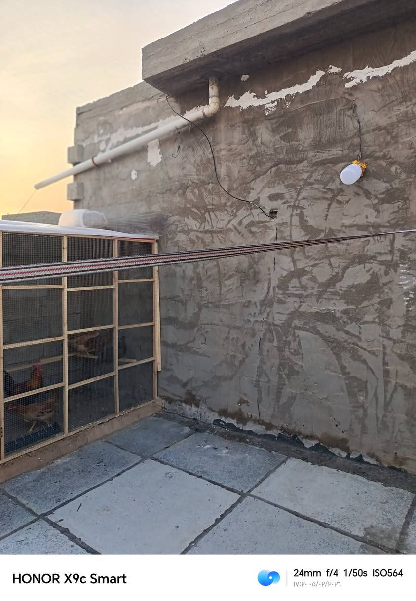 بيت مساحه 100متر نظيف المشروع الفرع المقابل افران ابو حوراء ٥بيت عن الشارع مي مجاري كهرباء السعر 63الاتصال على الرقم ***********
