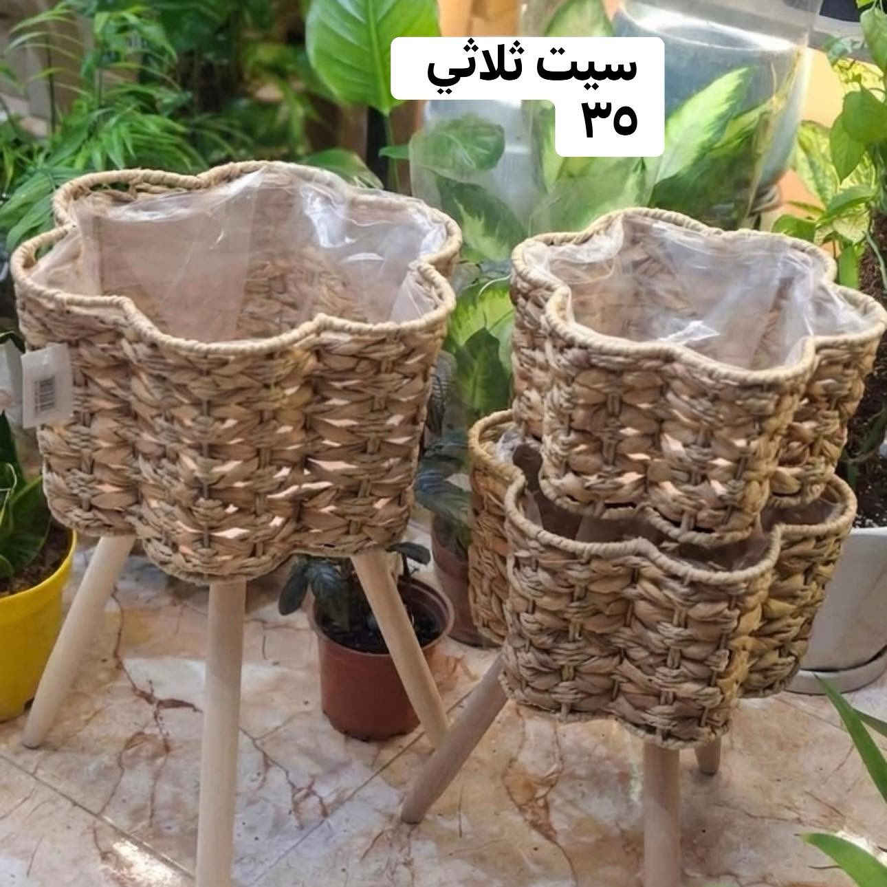 مع اقتراب عيد الأضحى المبارك 🌙
أكيد نحب نرتّب نباتاتنا بلمسة راقية وفخمة ✨
ولهذا وفرنالكم تشكيلة أنيقة ومميزة من سلال الخوص الطبيعي 🧺

للتواصل او الحجز مراسلتنا عبر الواتس اب (***********)
📍 🚚 توصيل فقط  
الايسر ٣ الايمن ٤ المناطق القريبة من الكندي ٢٠٠٠🚚 محافظات  ٥٠٠٠
#Jouriyyah_plants #نباتات #موصل #ديكور #استشارات #زراعية #هدايا

