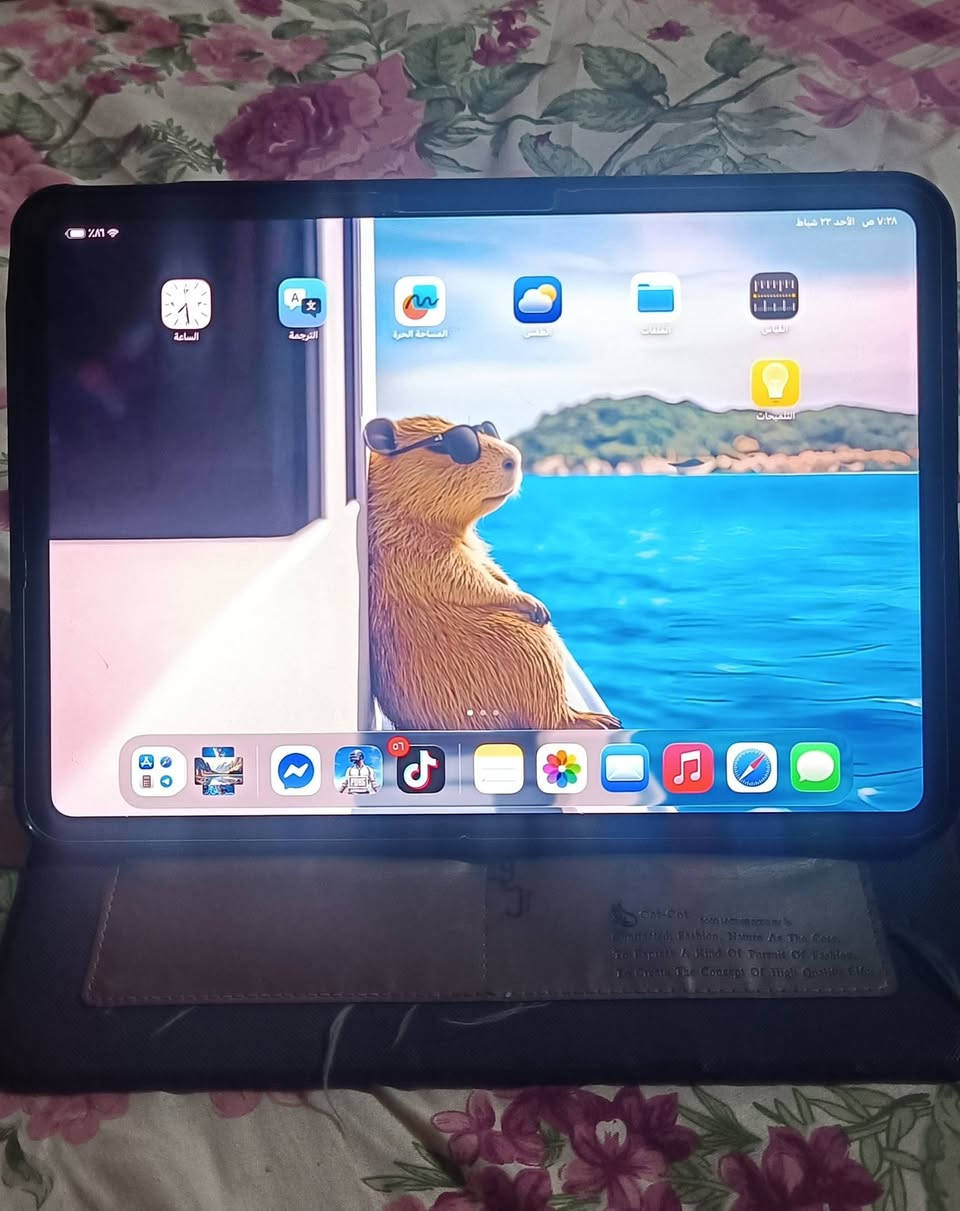 ايباد m4
11 انج 
ذاكره 256
بطاريه 93
 + كفر جلد 
ولسكه للشاشه 
جهاز استعماله بصيط ونضيف وملحقاته كامله 
وضمان فحص


**إذا كنت صاحب هذا الإعلان وتريد حذفه لأي سبب، رجاءا أرسل رسالة إلى الدعم الفني**