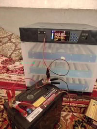 مفقسة • ٢٠٠ بيضة • تقليب إلكتروني