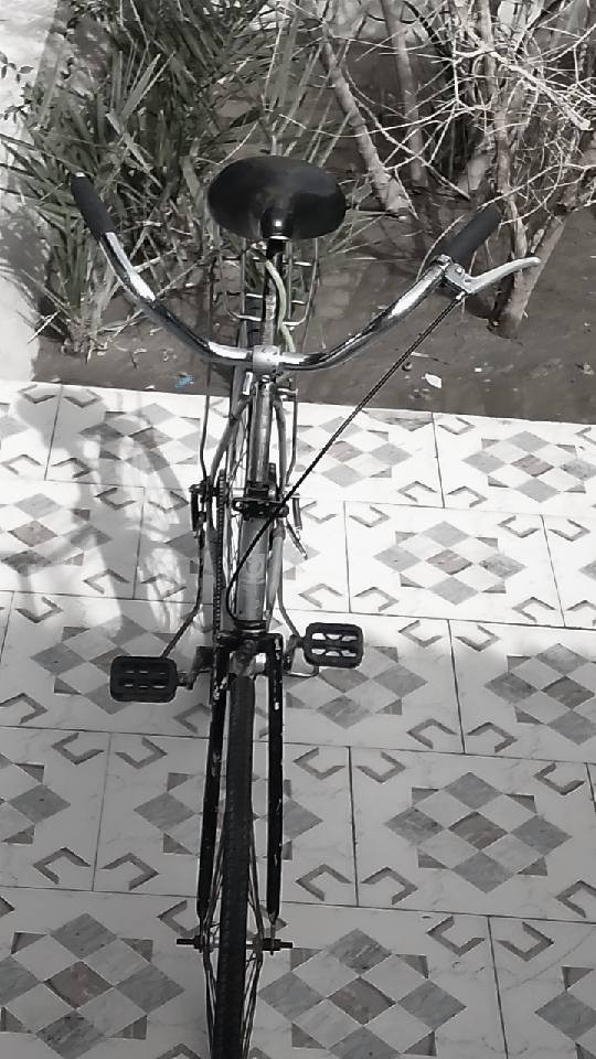 سلام. عليكم بايسكل للبيع  شعر 50 وبي مجال العنوان الا سماوه


**إذا كنت صاحب هذا الإعلان وتريد حذفه لأي سبب، رجاءا أرسل رسالة إلى الدعم الفني**