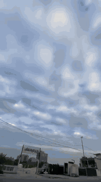 رقم بغداد.  مصبوغه.  عام بسبب الجراد.
كير مكينه تدفىه تبريد سياره جاهزه 
سعرها ٤٩
مكاني بغداد.  شيخ معروف 
او حي الجامعه. ***********
