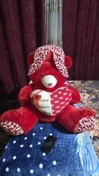 دب جديد • ديالى المقدادية • حي المعلمين