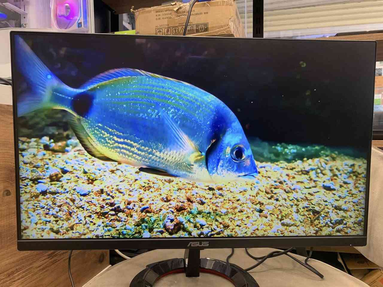 ئەم مۆنیتەرە یەکێکە لە باشترین 1080p gaming monitor ـەکان لە نرخی مامناوەنددا، بە تایبەتی ئەگەر Valorant، CS2، PUBG، Warzone یان Fortnite دەکەیت.

تایبەتمەندییە سەرەکییەکان

* 23.8 ئینچ
* IPS Panel
* Full HD 1920×1080
* 165Hz Refresh Rate
* 1ms MPRT
* FreeSync Premium
* DisplayPort 1.2 + HDMI ×2
* Speaker هەیە (2W×2)
* VESA mount هەیە  

باشییەکانی

✅ IPS panel → ڕەنگ و viewing angle زۆر باش
✅ 165Hz → gameplay زۆر smooth
✅ input lag زۆر کەم
✅ بۆ esports زۆر گونجاوە
✅ FreeSync / G-Sync compatible ـە
✅ bezel ـی باریک و دیزاینێکی gaming ـی جوانی هەیە
✅ بۆ PS5/Xbox دەتوانێبدات  
140هەزار

شاشة ASUS TUF Gaming VG249Q1R تعتبر من أفضل الشاشات الاقتصادية للألعاب، خصوصًا إذا تحب ألعاب الـFPS والألعاب السريعة.

المواصفات الرئيسية

* الحجم: 23.8 إنش
* الدقة: Full HD 1920×1080
* نوع اللوحة: IPS
* التردد: 165Hz
* زمن الاستجابة: 1ms MPRT
* تدعم FreeSync Premium
* منافذ:
    * DisplayPort 1.2
    * HDMI ×2
* سماعات مدمجة
* تدعم VESA للتعليق على الجدار  

مميزاتها

* سلاسة ممتازة جدًا بالألعاب بسبب 165Hz
* ألوان أفضل من شاشات TN لأن اللوحة IPS
* Input Lag منخفض جدًا
* مناسبة لـ:
    * Valorant
    * CS2
    * PUBG
    * Warzone
    * Fortnite
* تدعم FreeSync وحتى G-Sync غالبًا يشتغل بشكل جيد
* حواف الشاشة رفيعة وشكلها Gaming جميل
سعر 140الف
اکو توصیل 
 ١شهر ضمان


**إذا كنت صاحب هذا الإعلان وتريد حذفه لأي سبب، رجاءا أرسل رسالة إلى الدعم الفني**