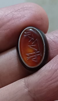 للبيع • اكسسوارات