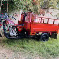 ستوته • سنوية • الكوفة