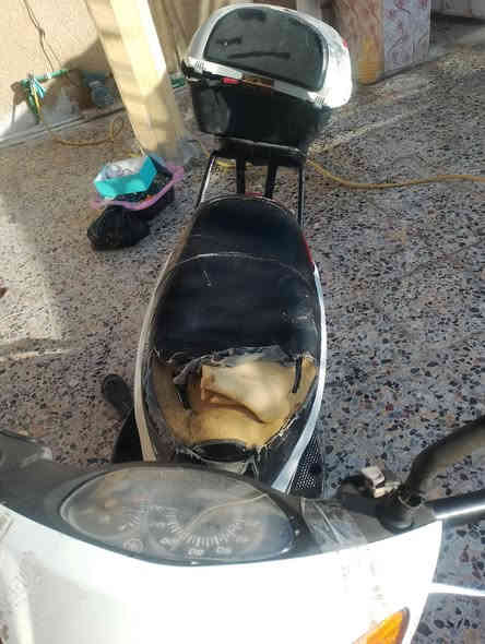 سلام عليكم عندي دراجة نارية بريز يرادله ترتيب أو مراوس شحن كبير سعر 350 عنوان بغداد  الراشديه ***********
