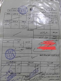 التمرة مقاطعة ١٢ • طابو • ٢٥٠م