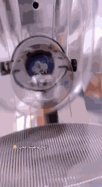 دراجه نامه شاصي 21 اوراق اصولي وكيل نوفل غراض كله 25 شرط تفيلس ما مفيلسه شوفت عينك غير متواجد عع فيسس ***********
