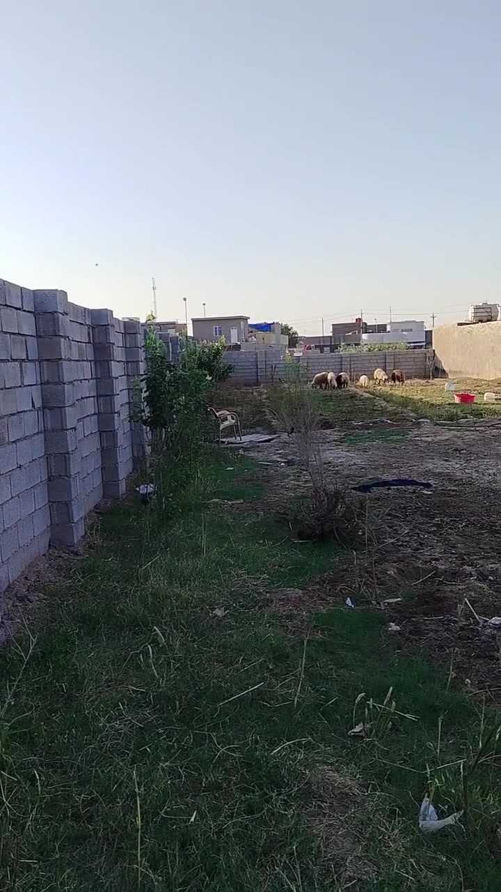 العنوان تاج دين الحفرية ***********
