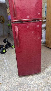 ثلاجه • شغاله • معقل