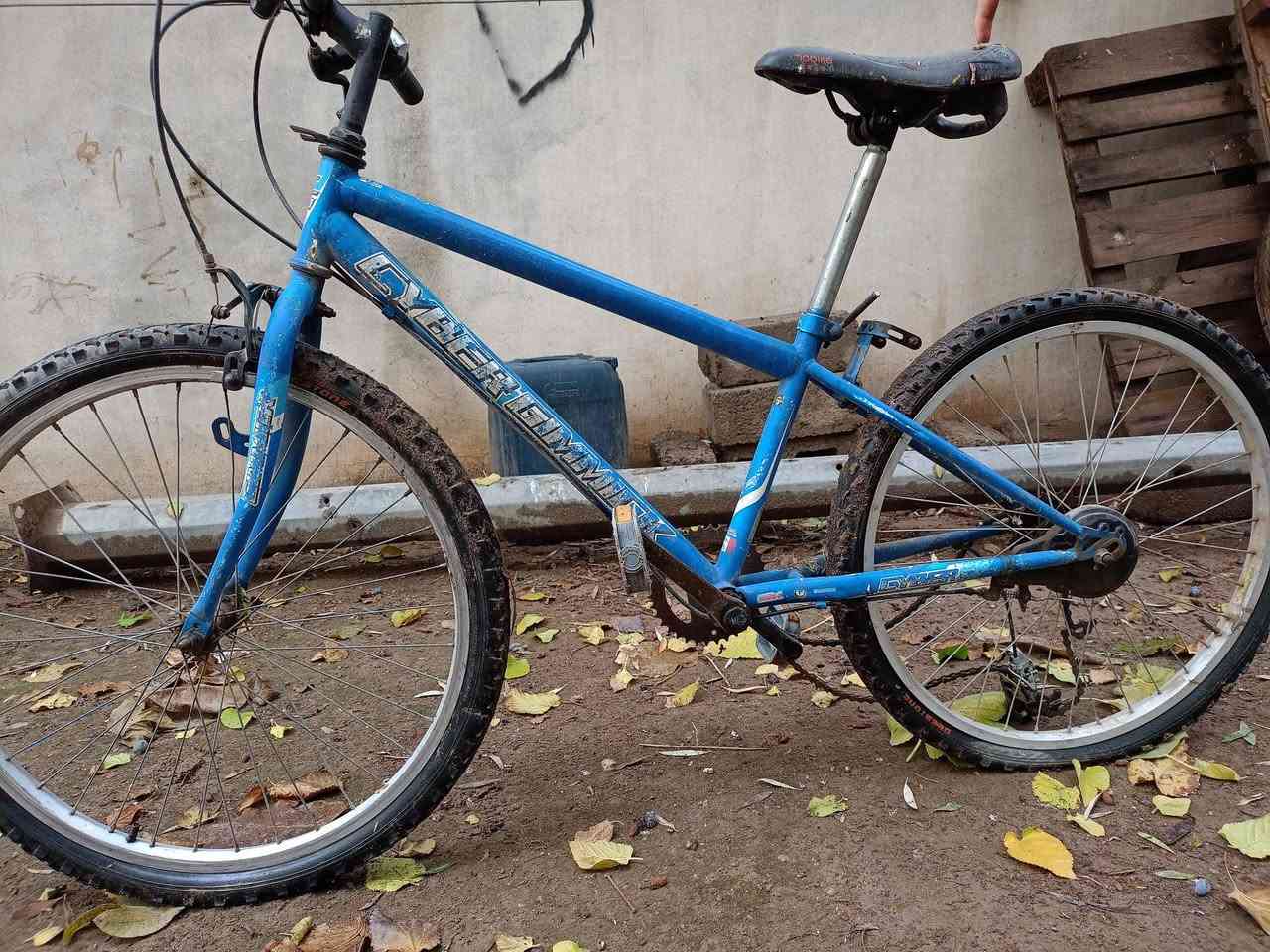 السلام عليكم بايسكل عبد الحليم سمائي ماشة مبدله اصليه الركبه يراد برغر يمسك الاستيرن
مكان شقق الخضراء
بايسكل الوردي كل شي ما بيه بس نفخ تايرات 
بايسكل الازرق بس الماكينه واكعة
بايسكل كل شي ما بيه الماكينه شويه تعبانه 
كلهم شي على شي 160 وبيهم مجال 
التواصل على ***********.  كورك
التواصل على ***********.   آسيا
