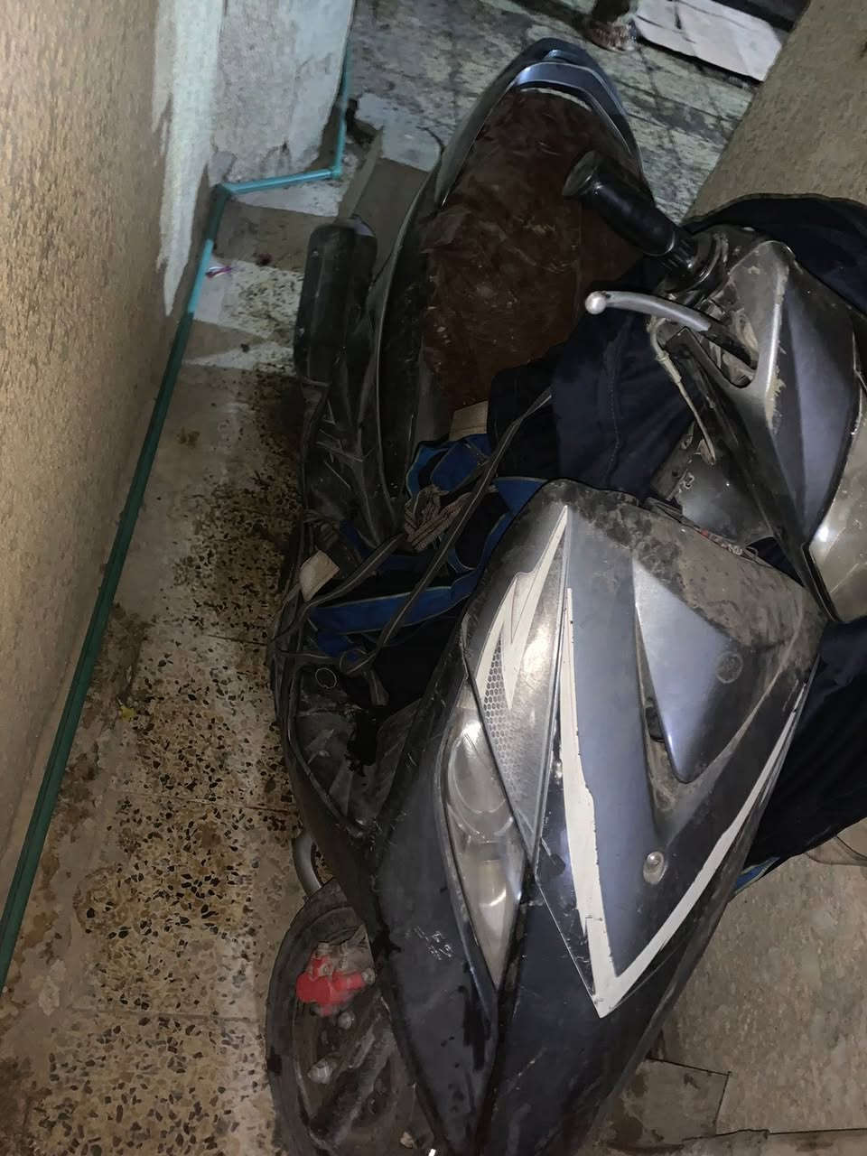 السلام عليكم ثعلب ل بيع عاوجه ولف وعوزها سويج اكفلك حلال وحرام قيم واخذ مكان حي النصر هـ***********
