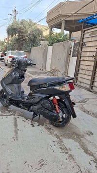 دراجة سكنس • ياباني • فحل